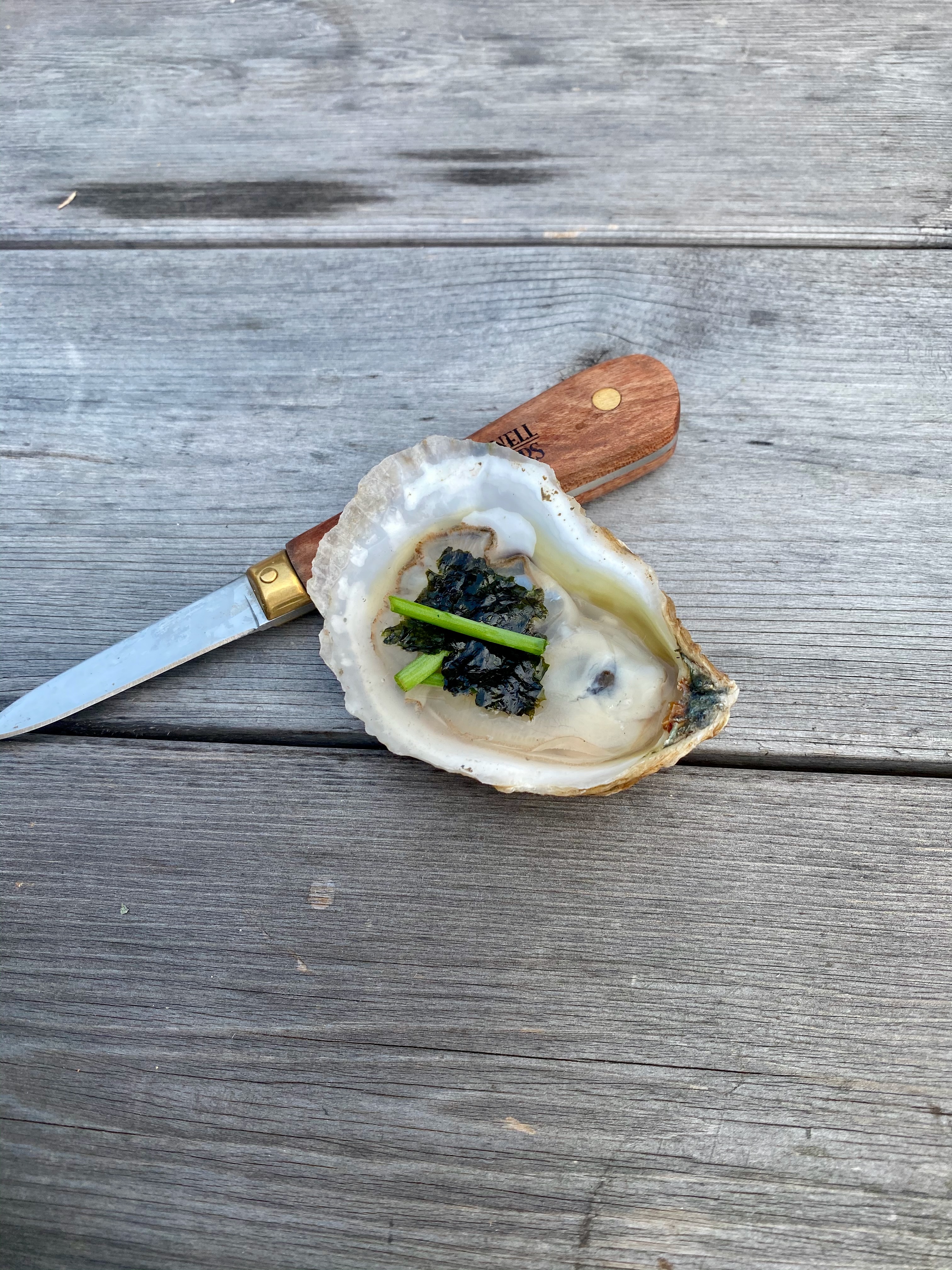 Freshly shucked oyster with shucker knife on weathered wood